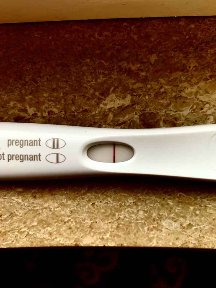 Temperatura basale per ricerca cicogna 🤞🏻 - 3