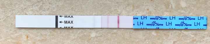 Temperatura basale per ricerca cicogna 🤞🏻 - 1