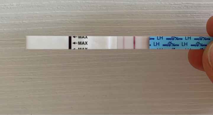 Temperatura basale per ricerca cicogna 🤞🏻 - 2