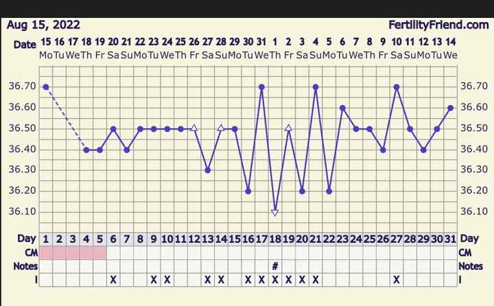Temperatura basale per ricerca cicogna 🤞🏻 - 1