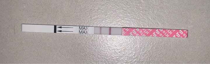 Temperatura basale per ricerca cicogna 🤞🏻 - 2