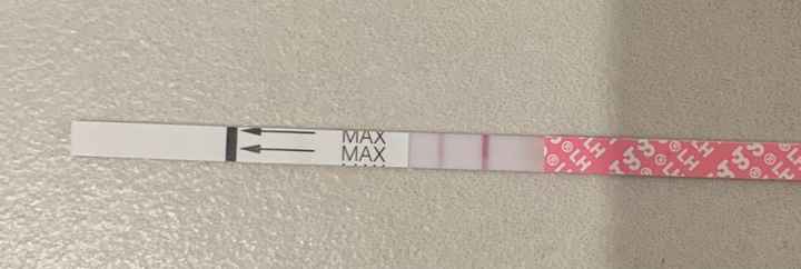 Temperatura basale per ricerca cicogna 🤞🏻 - 1