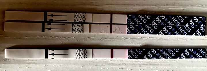 Per chi ha fatto il Gonasi - 2