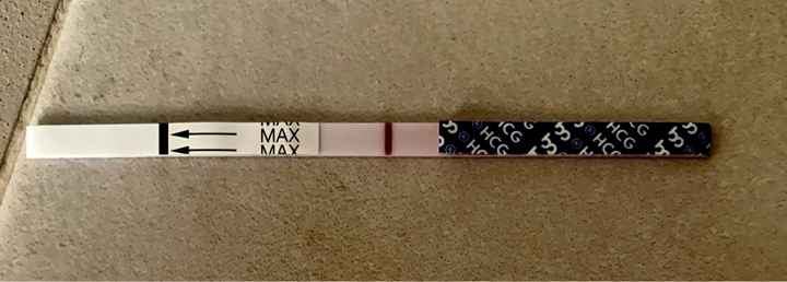 Temperatura basale per ricerca cicogna 🤞🏻 - 1