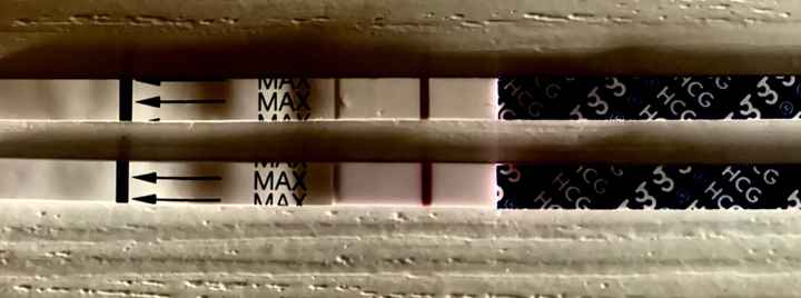 Temperatura basale per ricerca cicogna 🤞🏻 - 3