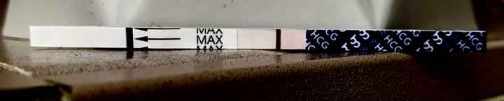 Temperatura basale per ricerca cicogna 🤞🏻 - 2