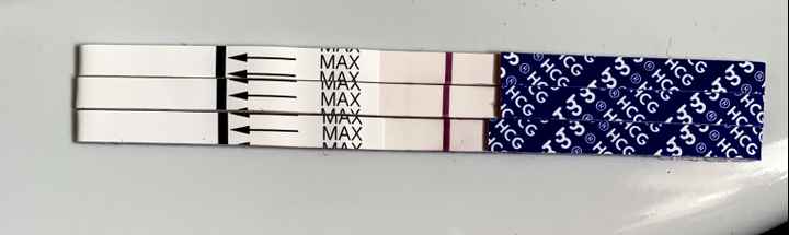 Temperatura basale per ricerca cicogna 🤞🏻 - 2