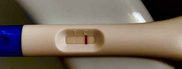 Temperatura basale per ricerca cicogna 🤞🏻 - 2