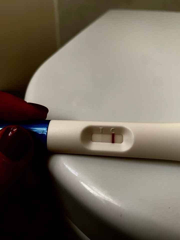 Temperatura basale per ricerca cicogna 🤞🏻 - 3