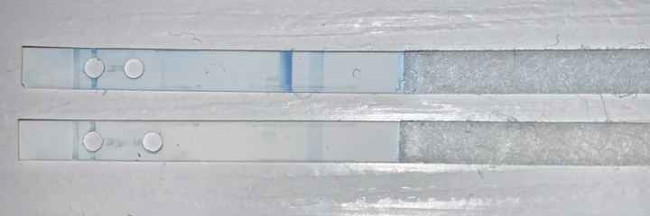 Test digitale smontato, aiutatemi 🙏 grazie ♥️ - 1