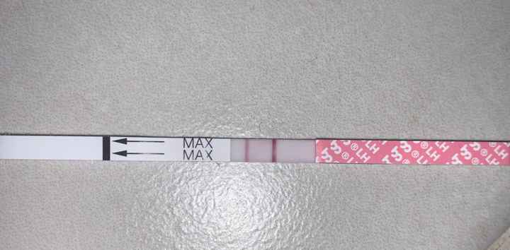 Stick ovulazione scuri al mattino e chiari al pomeriggio?! - 1