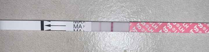 Stick ovulazione scuri al mattino e chiari al pomeriggio?! - 2