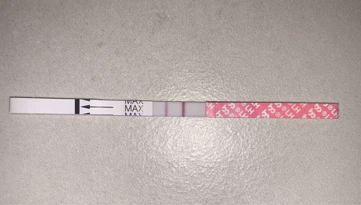 Stick ovulazione scuri al mattino e chiari al pomeriggio?! - 3