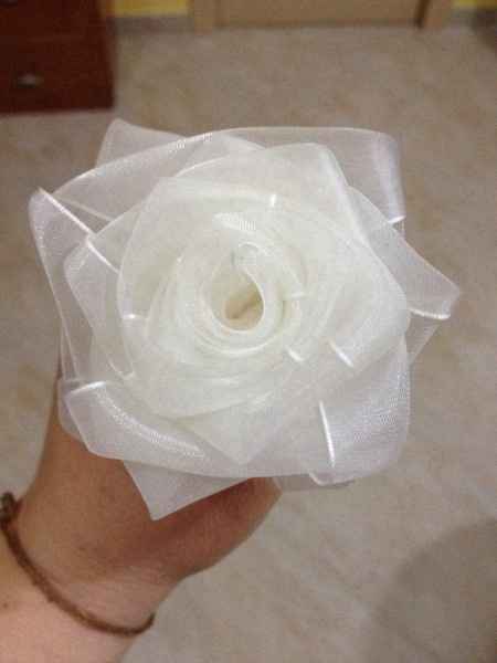 A tutto rose 🌹 - 2