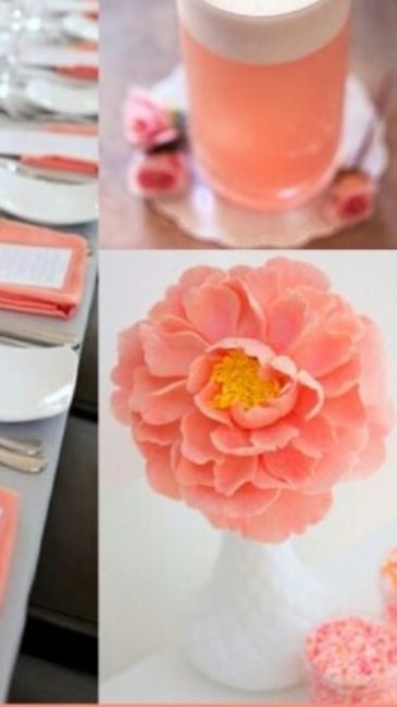 Tema torte/ pasticceria - 1