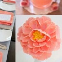 Tema torte/ pasticceria - 1