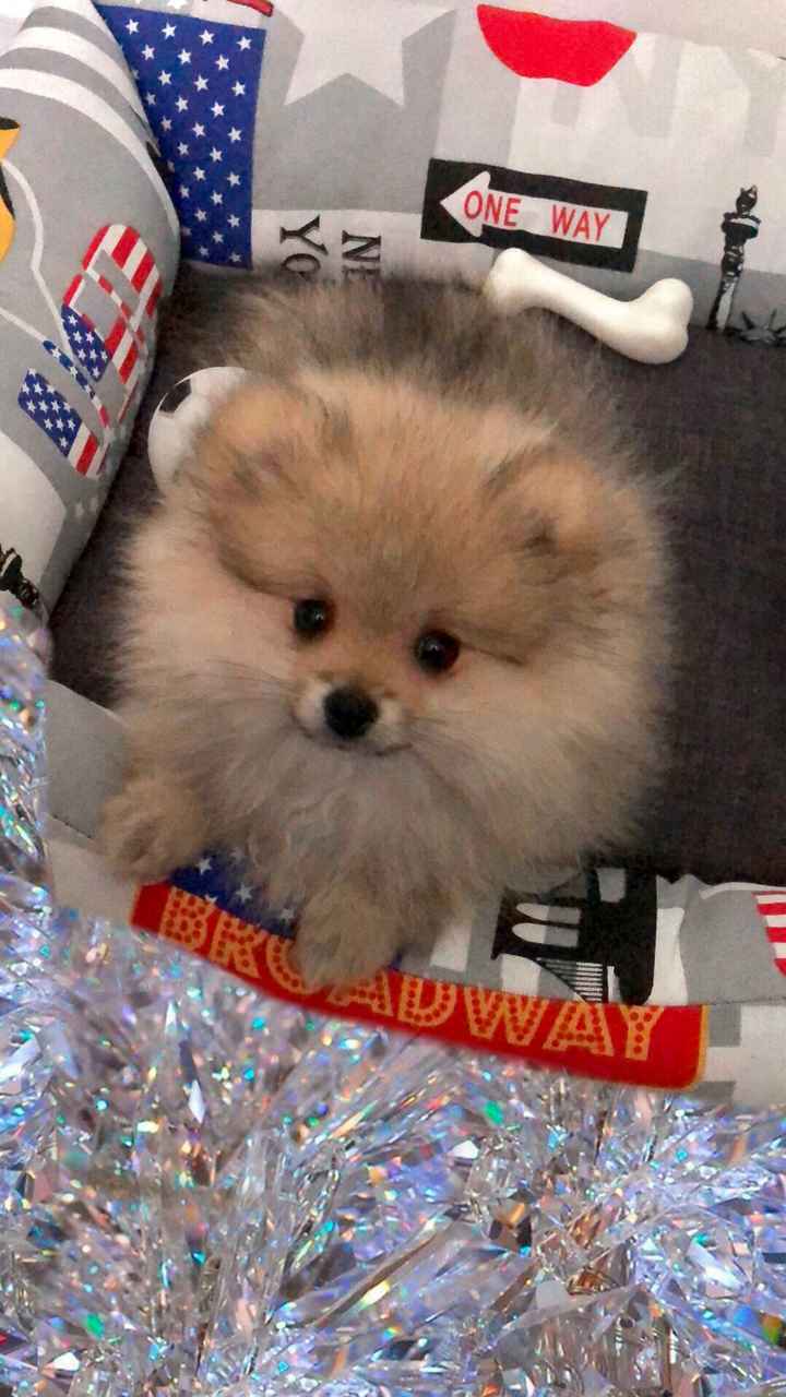 Aspiranti mammine Maggio 2019 - 1