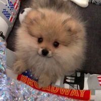 Aspiranti mammine Maggio 2019 - 1