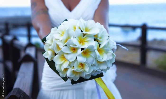 il mio bouquet di pomelie...