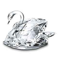 matrimonio tema cigni