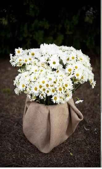 matrimonio tema margherite