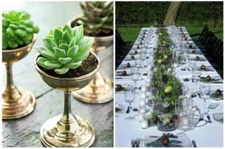centrotavola piante grasse