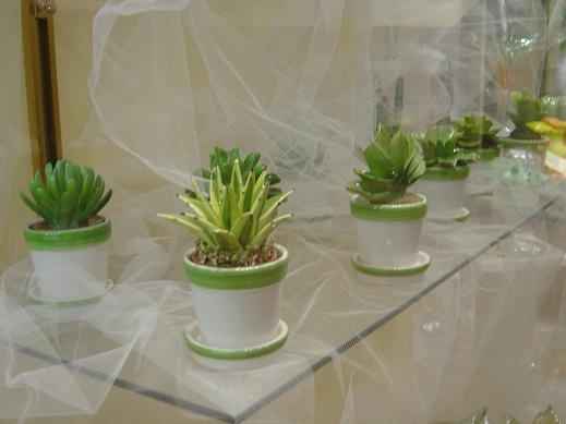 centrotavola piante grasse