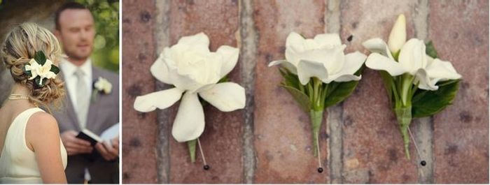 fiore occhiello gardenia