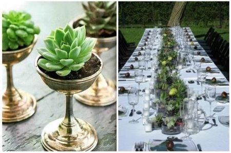 centrotavola piante grasse