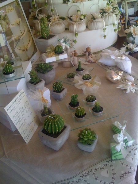 centrotavola piante grasse