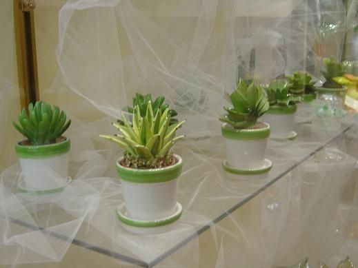 centrotavola piante grasse