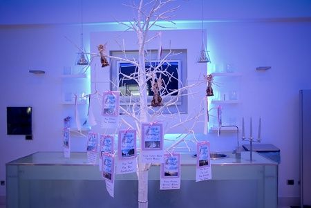 tableau rami - albero