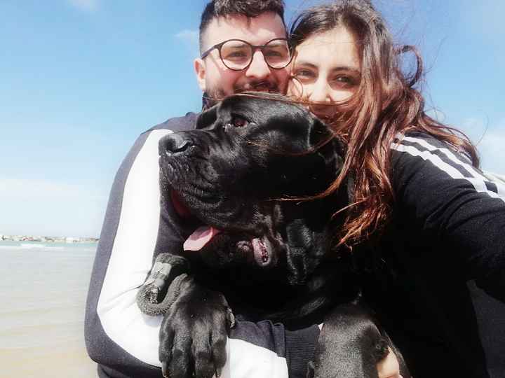 Una passione che vi accomuna! 🎡 - 1