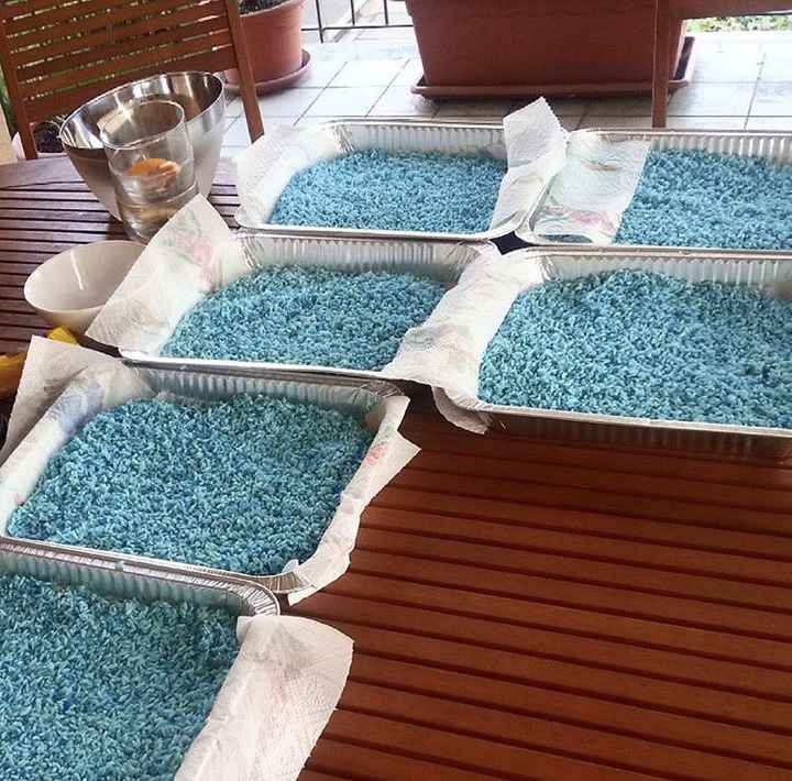 Via l'8 e riso rosa! - 1