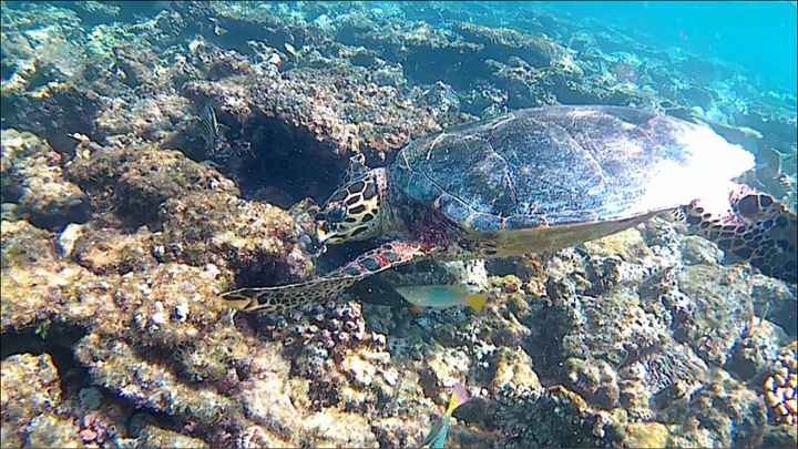 Maldive o zanzibar - 3