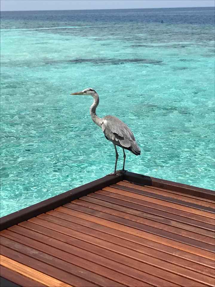 5 mete per il viaggio più dolce - 2