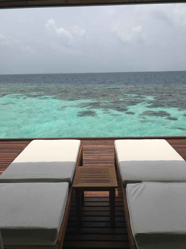  Viaggio di nozze tra gennaio/febbraio - 1