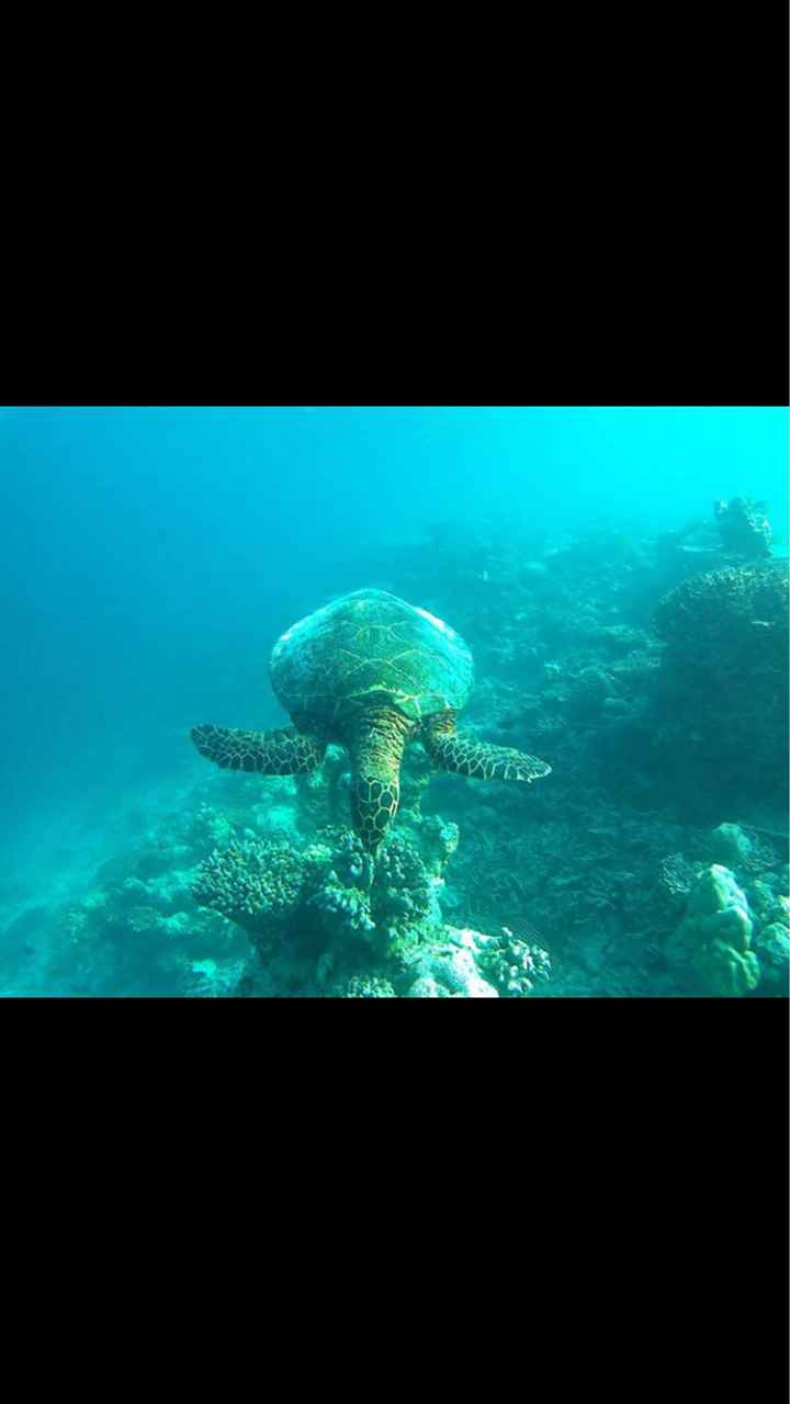  Maldive resort e prezzi - 1