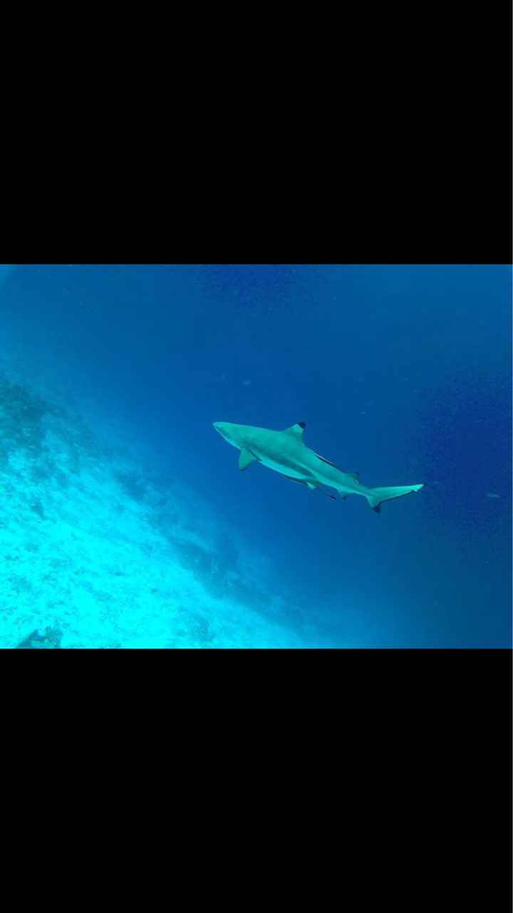  Maldive resort e prezzi - 3