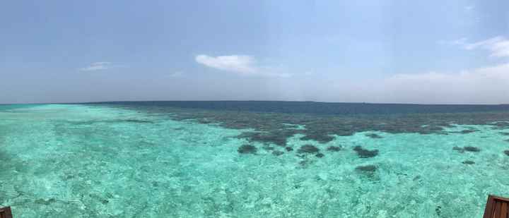  Crisi del viaggio di nozze.. parte 2 il verdetto - 3