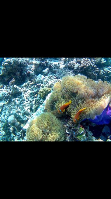 Maldive resort e prezzi 1