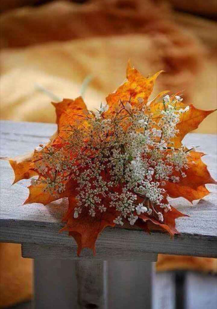  Matrimonio autunnale 🍁 - 1