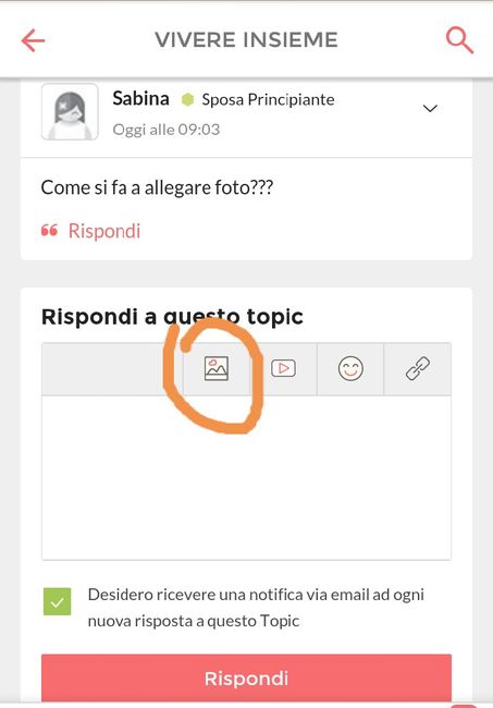  Cucina lube scelta,colori in anteprima, - 1