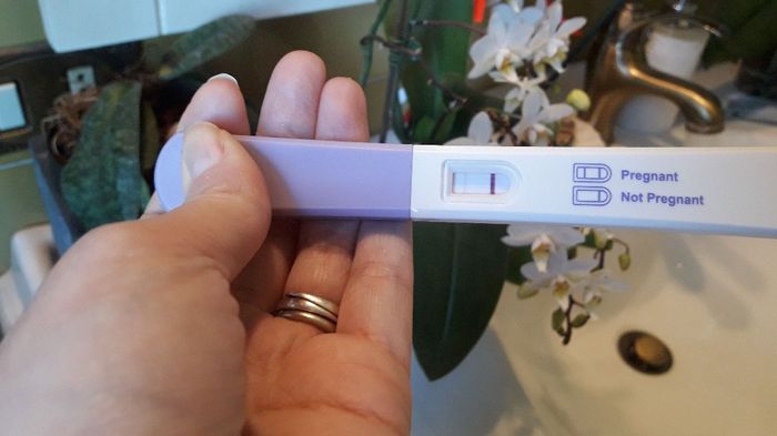 Ci facciamo compagnia? - 1