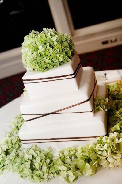 Torta esempio