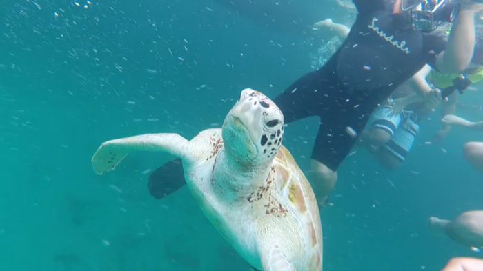 E dopo il matrimonio: la honeymoon! - 36