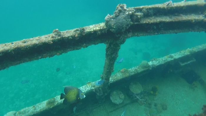 E dopo il matrimonio: la honeymoon! - 38