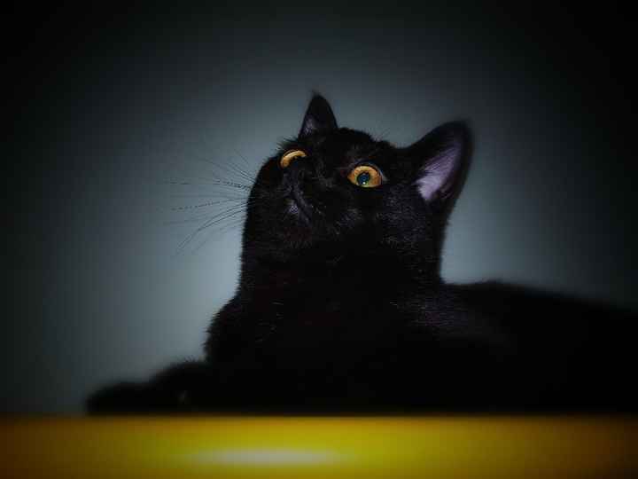 Collaboratori pelosi ❤️ - 2