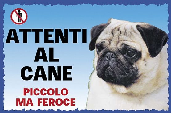 Dog sitter Potenza