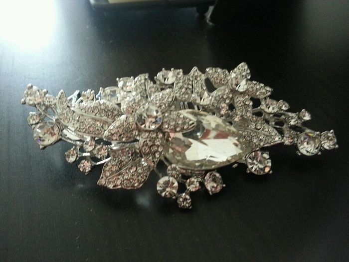 Il mio fermaglio! - 2